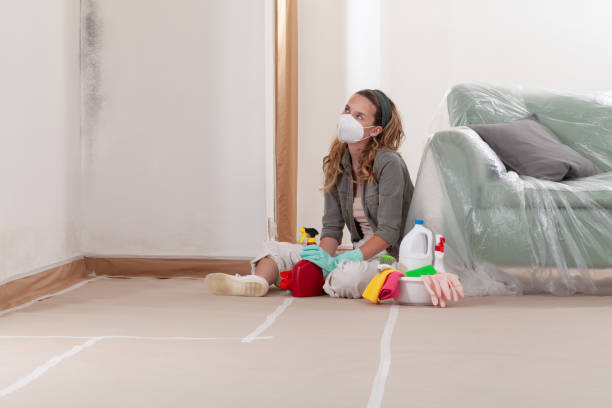 Trusted Black Mold Removal service in Fayetteville, NC - Cheap Mold Removal